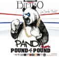 Icon of Bimbo - Panda Remix  (WWW LAZONAMUZIC COM)