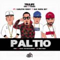 Icon of Trulife (DNA Y Yanzee) Ft  Carlitos Rossy Y Elio MafiaBoy - Paltio (WWW LAZONAMUZIC COM)mp3