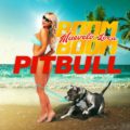 Icon of Pitbull - Muevelo Loca Boom Boom (By EL PANDILLERO) (WWW LAZONAMUZIC COM)